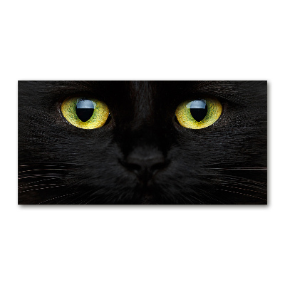 Pintura en acrílico horizontal ojos de gato