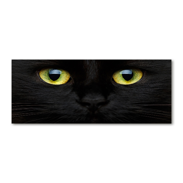 Pintura en acrílico horizontal ojos de gato