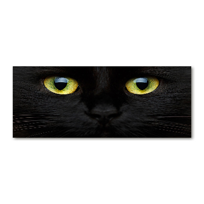 Pintura en acrílico horizontal ojos de gato
