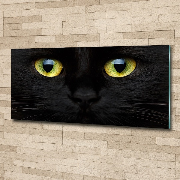 Pintura en acrílico horizontal ojos de gato