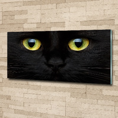 Pintura en acrílico horizontal ojos de gato