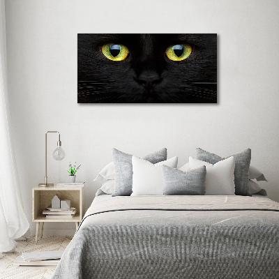 Pintura en acrílico horizontal ojos de gato