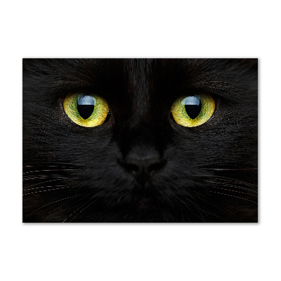 Pintura en acrílico horizontal ojos de gato