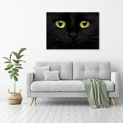 Pintura en acrílico horizontal ojos de gato
