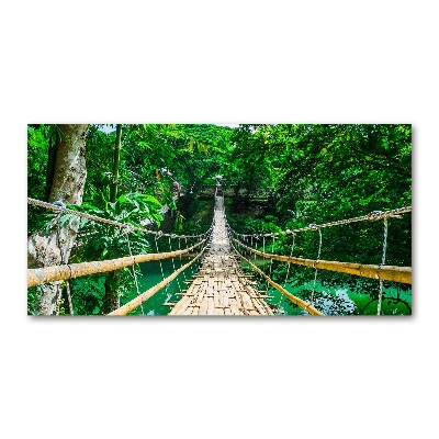 Foto en metacrilato horizontal Puente de la selva tropical