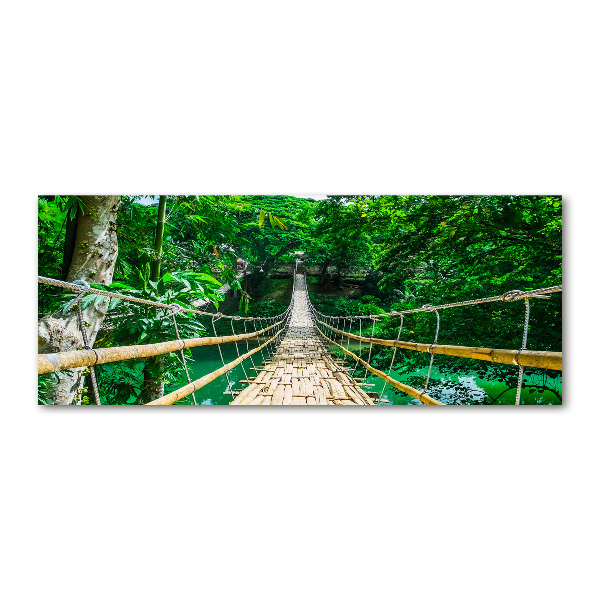 Foto en metacrilato horizontal Puente de la selva tropical