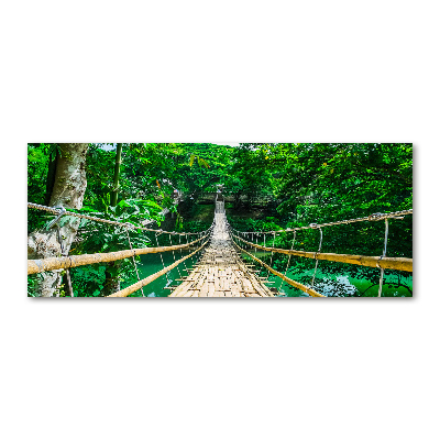 Foto en metacrilato horizontal Puente de la selva tropical