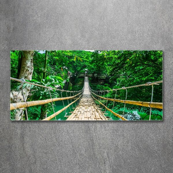 Foto en metacrilato horizontal Puente de la selva tropical