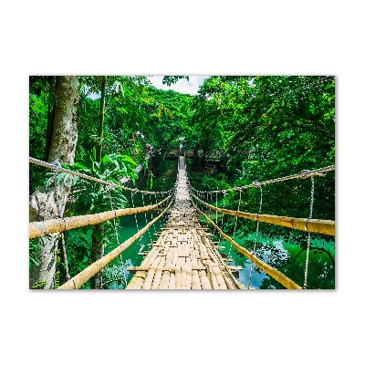 Foto en metacrilato horizontal Puente de la selva tropical