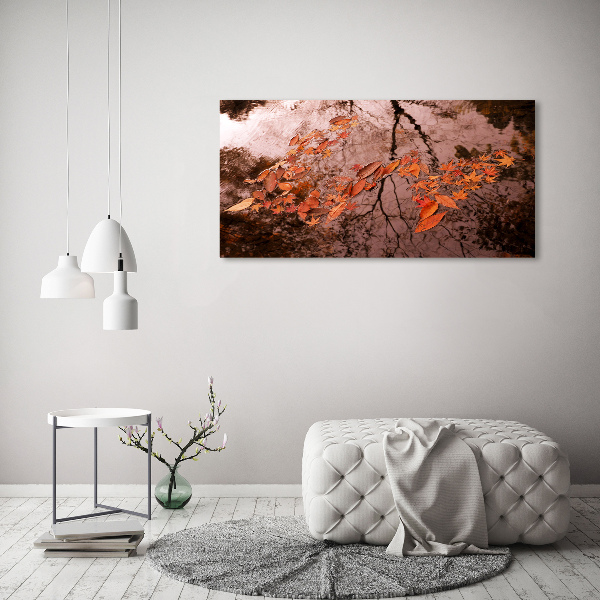 Foto en metacrilato horizontal Hojas en el agua