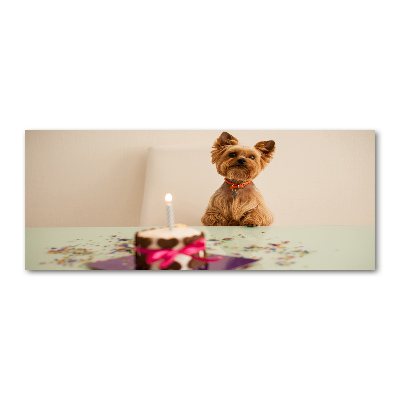 Foto en metacrilato horizontal Perro con pastel