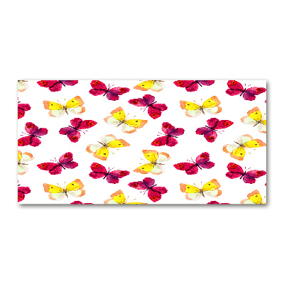 Cuadro metacrilato horizontal Mariposas y flores