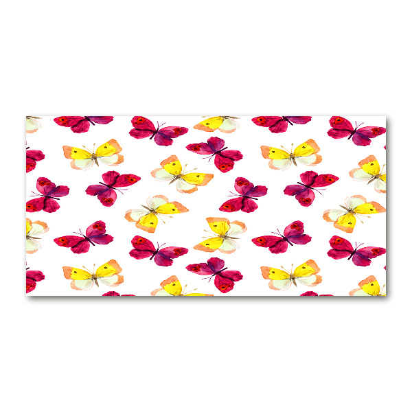 Cuadro metacrilato horizontal Mariposas y flores