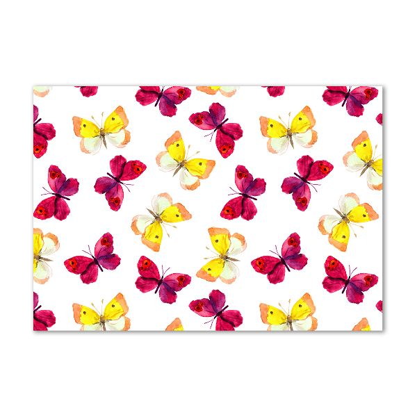 Cuadro metacrilato horizontal Mariposas y flores