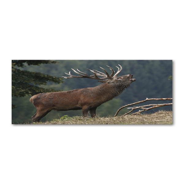 Cuadro acrílico horizontal Ciervos en la colina
