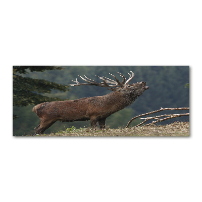 Cuadro acrílico horizontal Ciervos en la colina