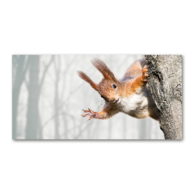 Pintura en acrílico horizontal Ardilla