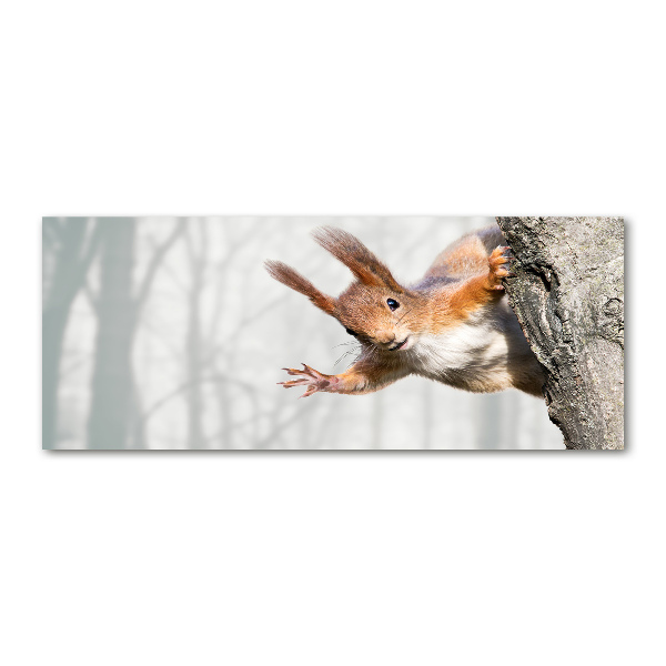 Pintura en acrílico horizontal Ardilla