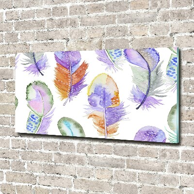 Cuadro metacrilato horizontal Plumas de colores