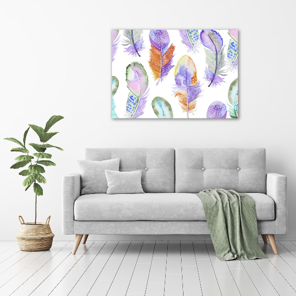 Cuadro metacrilato horizontal Plumas de colores