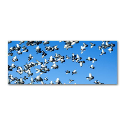 Foto en metacrilato horizontal Una bandada de palomas