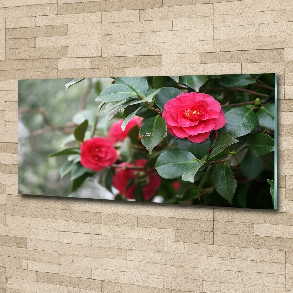 Foto en metacrilato horizontal Camelia
