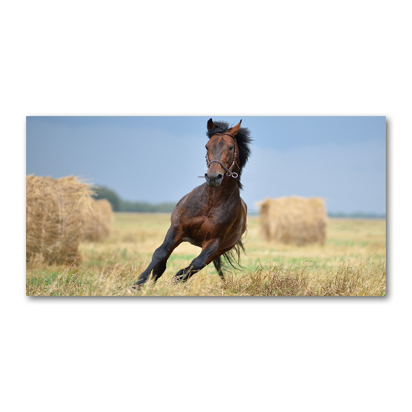 Pintura en acrílico horizontal Un caballo al galope