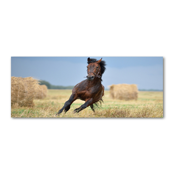 Pintura en acrílico horizontal Un caballo al galope