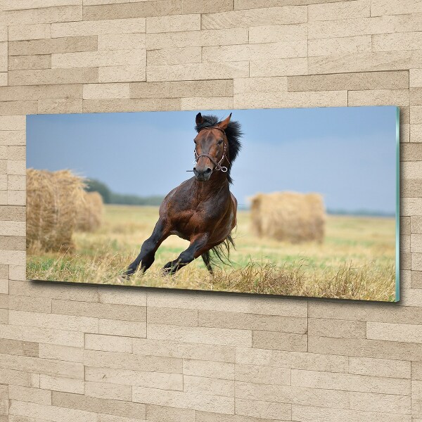 Pintura en acrílico horizontal Un caballo al galope