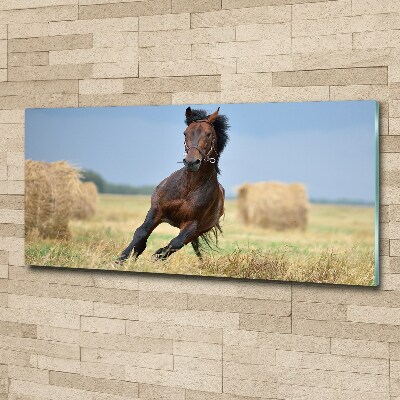 Pintura en acrílico horizontal Un caballo al galope