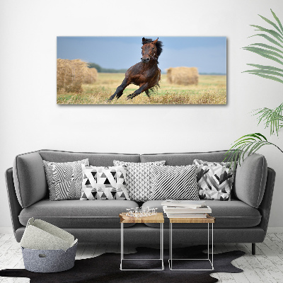 Pintura en acrílico horizontal Un caballo al galope