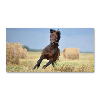 Pintura en acrílico horizontal Un caballo al galope