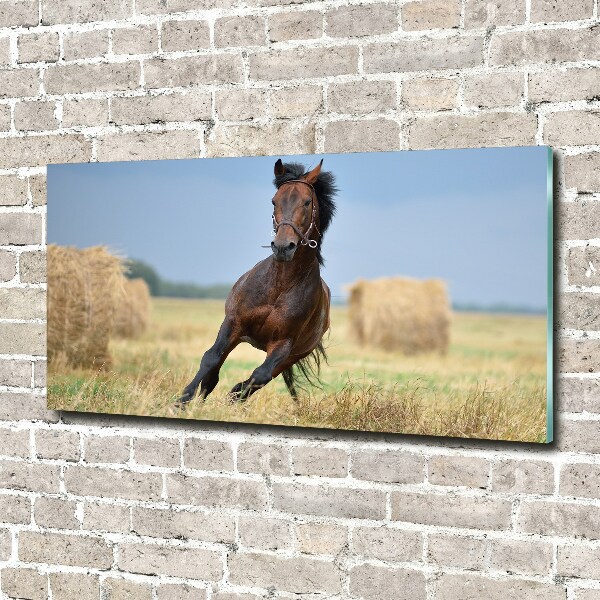 Pintura en acrílico horizontal Un caballo al galope