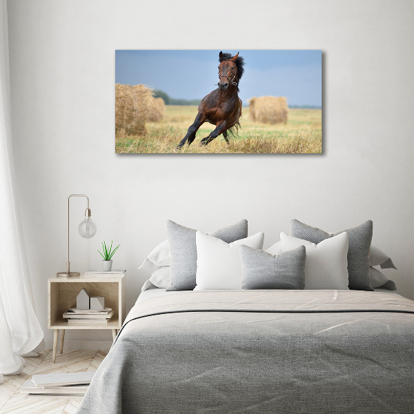 Pintura en acrílico horizontal Un caballo al galope
