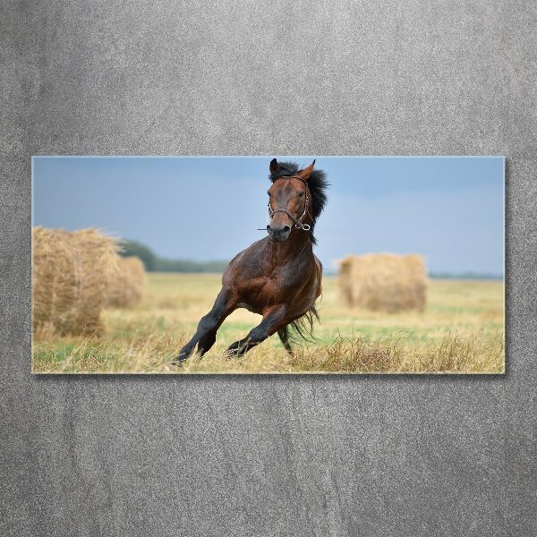 Pintura en acrílico horizontal Un caballo al galope