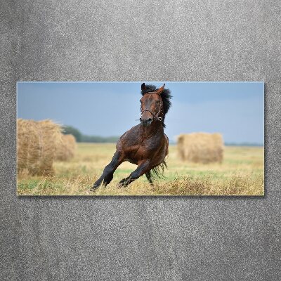 Pintura en acrílico horizontal Un caballo al galope