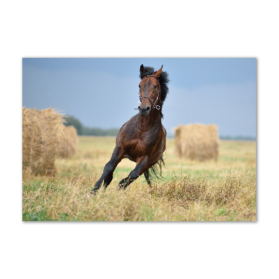 Pintura en acrílico horizontal Un caballo al galope