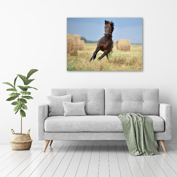 Pintura en acrílico horizontal Un caballo al galope