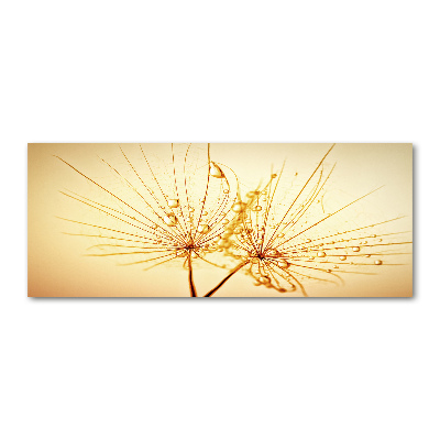 Pintura en acrílico horizontal semillas de diente de león