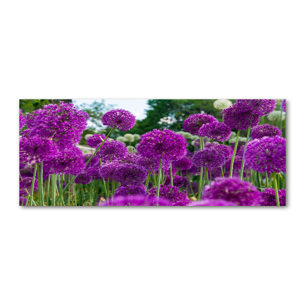 Foto en metacrilato horizontal flores de ajo