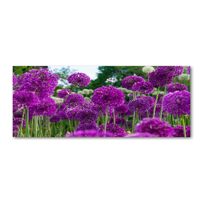 Foto en metacrilato horizontal flores de ajo