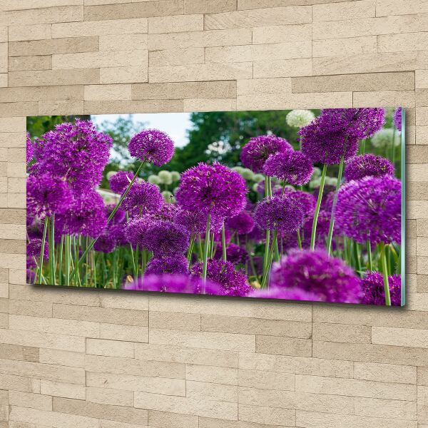 Foto en metacrilato horizontal flores de ajo