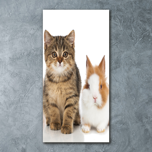 Cuadro de metacrilato moderno efecto cristal vertical Mascotas