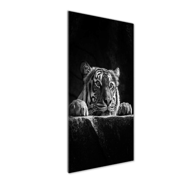Cuadro decorativo en acrílico brillante vertical Tigre