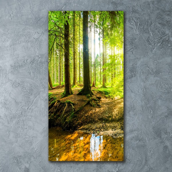 Impresión en metacrilato de alta calidad vertical El sol en el bosque