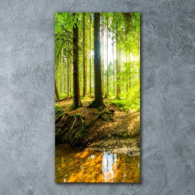 Impresión en metacrilato de alta calidad vertical El sol en el bosque