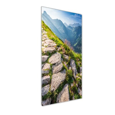 Cuadro decorativo en acrílico brillante vertical Sendero de montaña