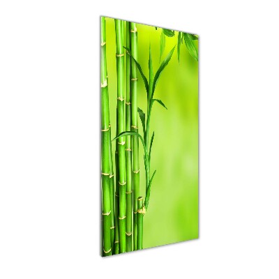 Cuadro decorativo en acrílico brillante vertical Bambú