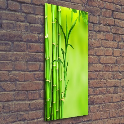 Cuadro decorativo en acrílico brillante vertical Bambú