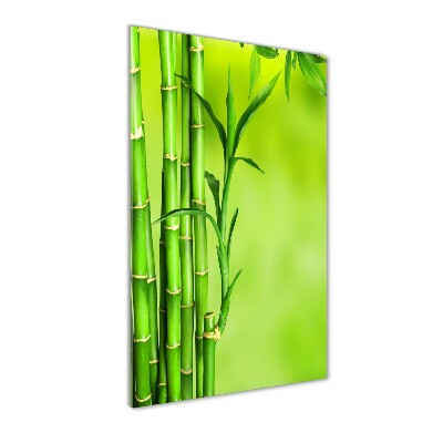 Cuadro decorativo en acrílico brillante vertical Bambú